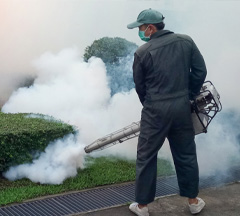 Mosquito Control in Sanford