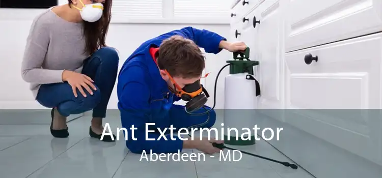 Ant Exterminator Aberdeen - MD