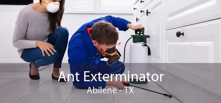 Ant Exterminator Abilene - TX