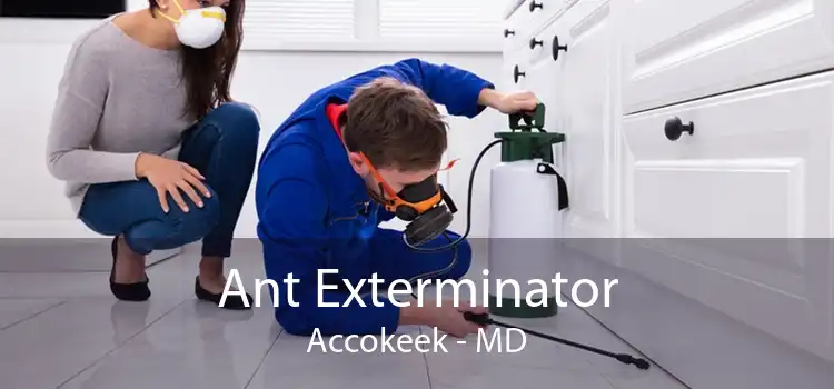 Ant Exterminator Accokeek - MD