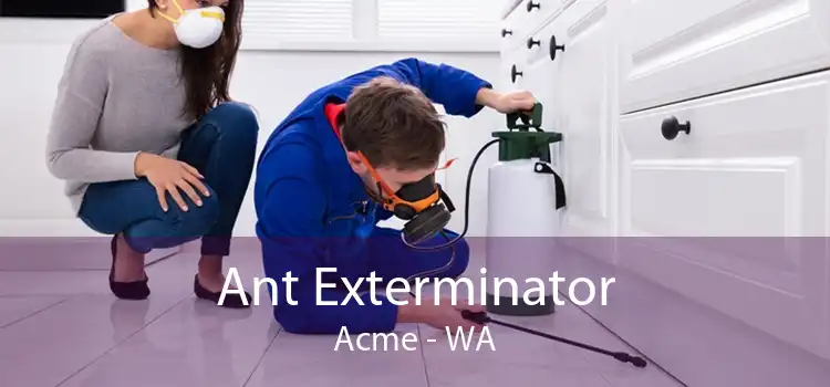 Ant Exterminator Acme - WA