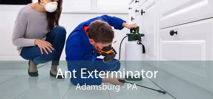 Ant Exterminator Adamsburg - PA