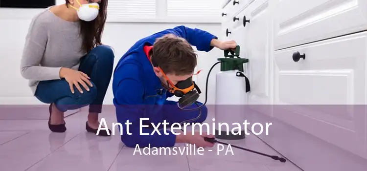 Ant Exterminator Adamsville - PA