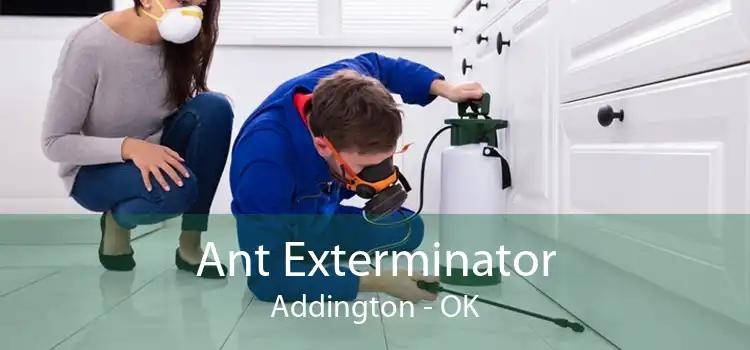 Ant Exterminator Addington - OK