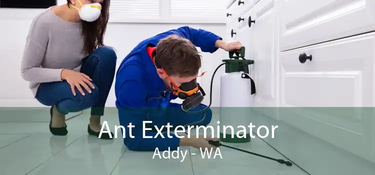 Ant Exterminator Addy - WA