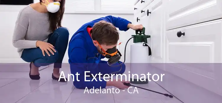 Ant Exterminator Adelanto - CA