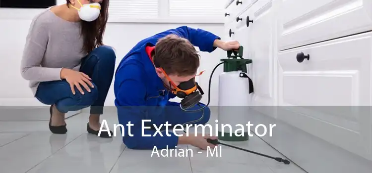 Ant Exterminator Adrian - MI