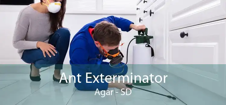 Ant Exterminator Agar - SD