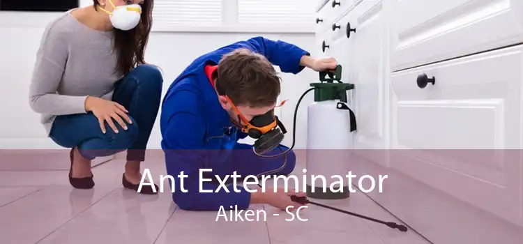 Ant Exterminator Aiken - SC