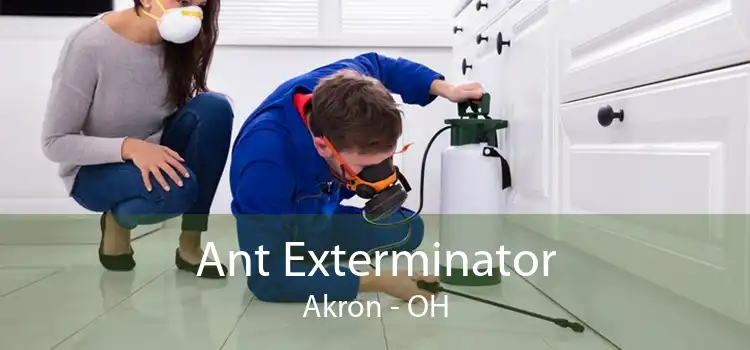 Ant Exterminator Akron - OH