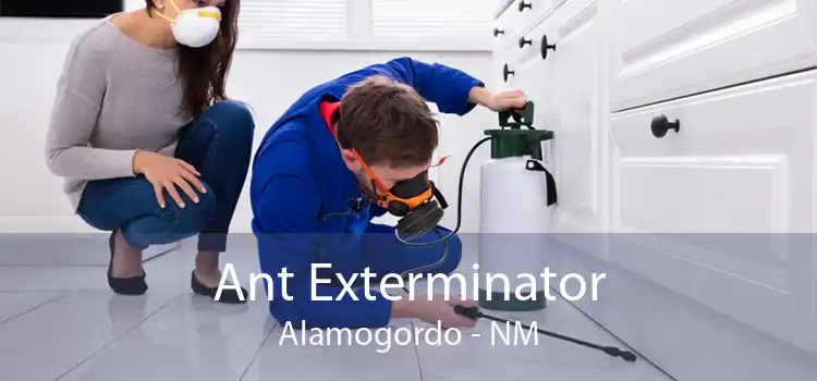 Ant Exterminator Alamogordo - NM