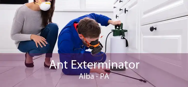 Ant Exterminator Alba - PA