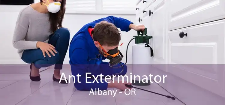 Ant Exterminator Albany - OR