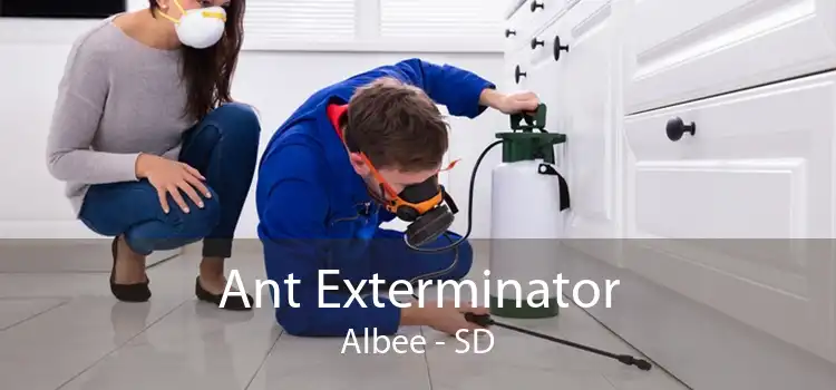 Ant Exterminator Albee - SD