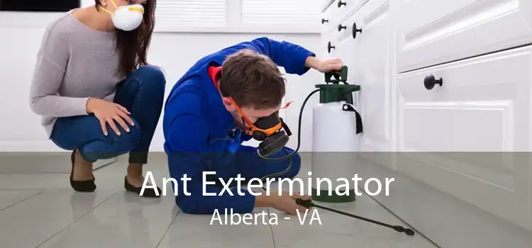 Ant Exterminator Alberta - VA