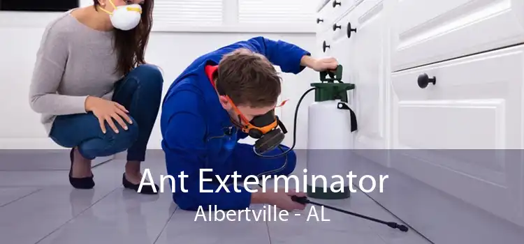 Ant Exterminator Albertville - AL