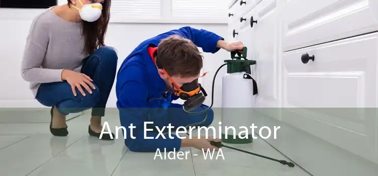 Ant Exterminator Alder - WA