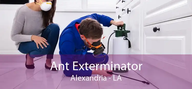 Ant Exterminator Alexandria - LA