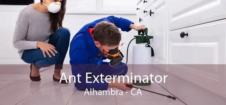 Ant Exterminator Alhambra - CA