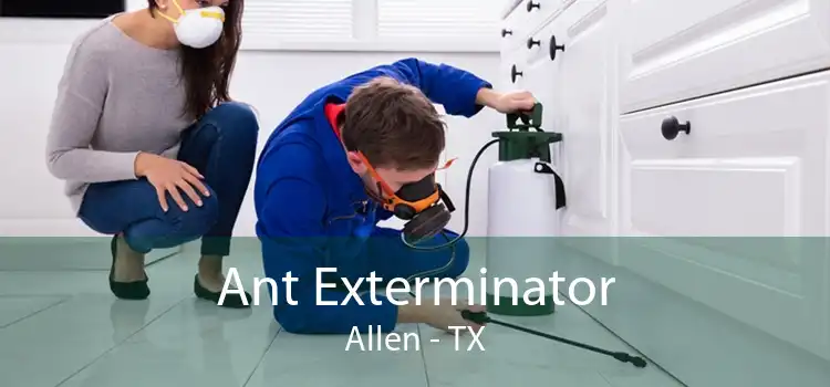 Ant Exterminator Allen - TX