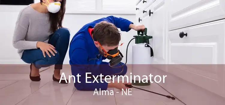 Ant Exterminator Alma - NE