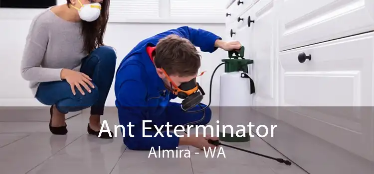 Ant Exterminator Almira - WA