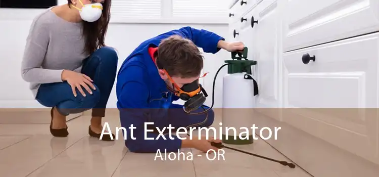 Ant Exterminator Aloha - OR