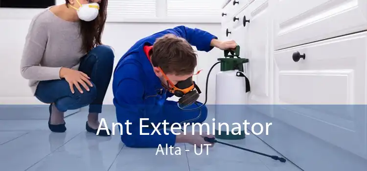 Ant Exterminator Alta - UT