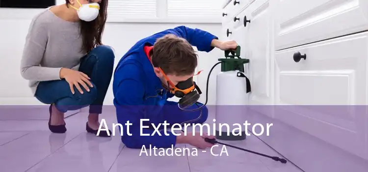 Ant Exterminator Altadena - CA