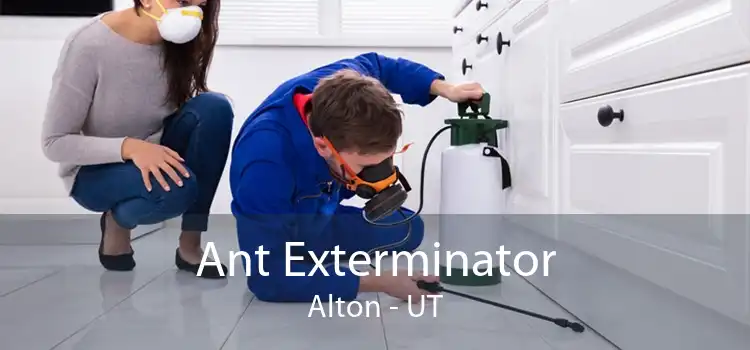 Ant Exterminator Alton - UT