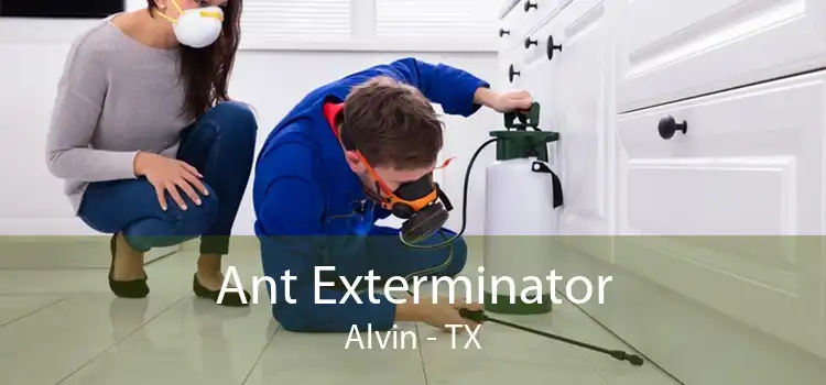 Ant Exterminator Alvin - TX