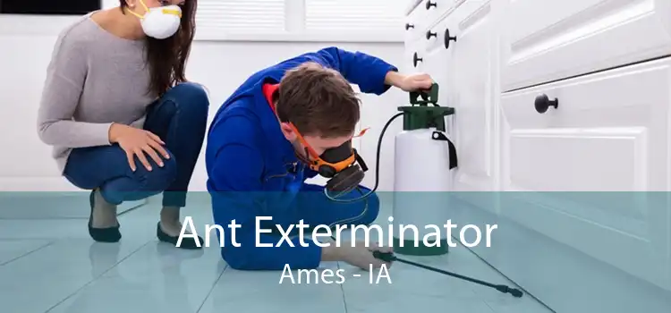 Ant Exterminator Ames - IA