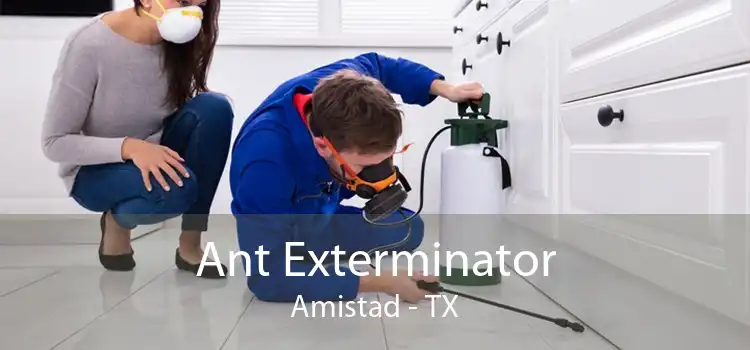 Ant Exterminator Amistad - TX