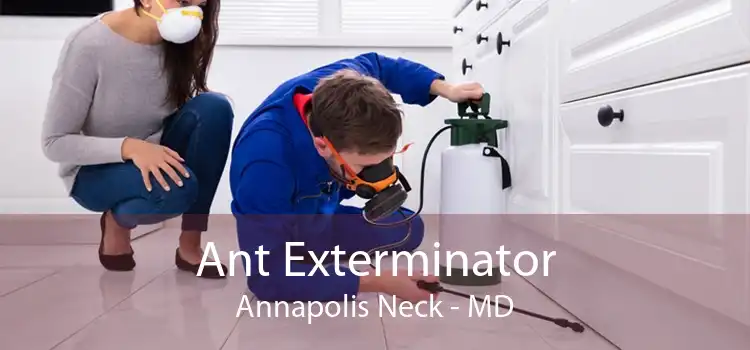 Ant Exterminator Annapolis Neck - MD