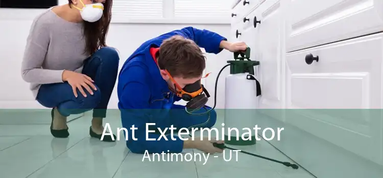 Ant Exterminator Antimony - UT