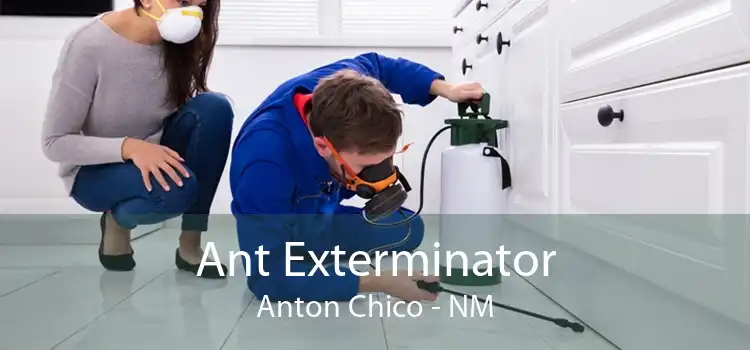 Ant Exterminator Anton Chico - NM