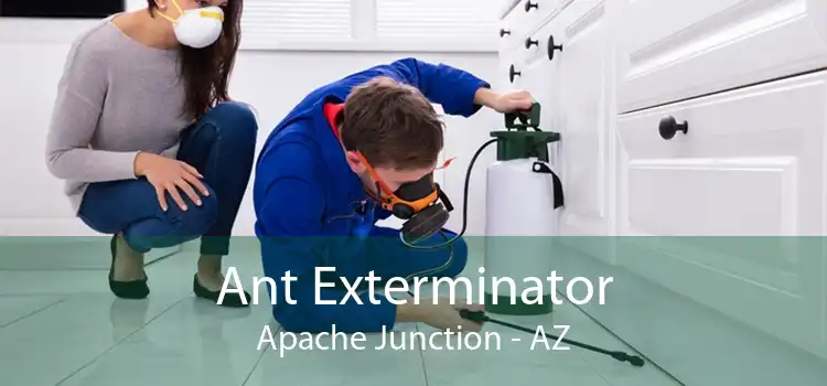 Ant Exterminator Apache Junction - AZ