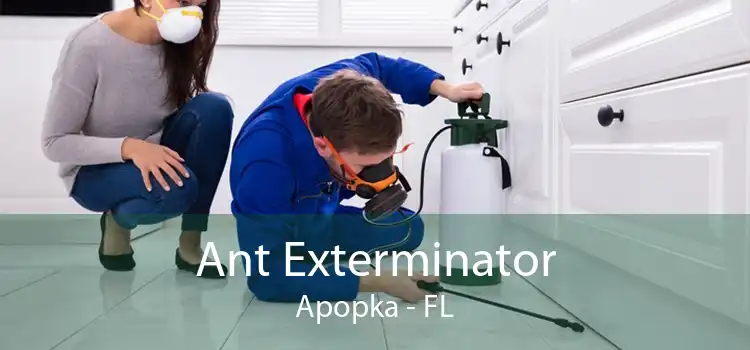 Ant Exterminator Apopka - FL