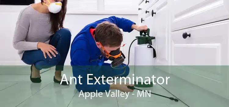 Ant Exterminator Apple Valley - MN