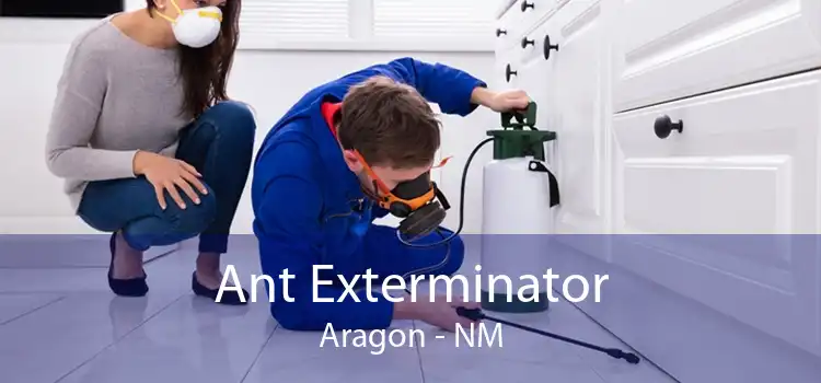 Ant Exterminator Aragon - NM