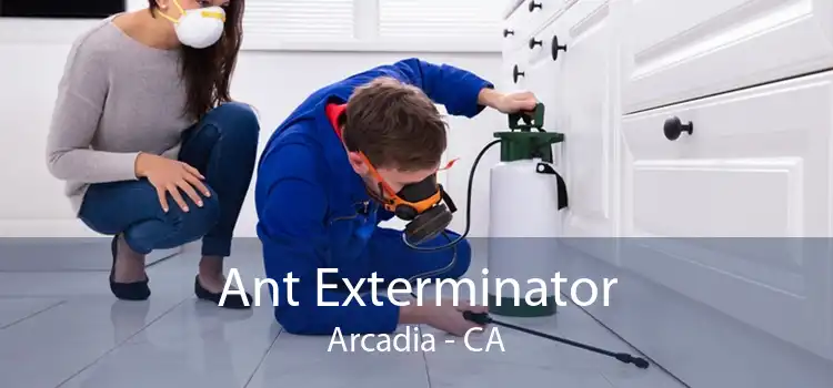 Ant Exterminator Arcadia - CA