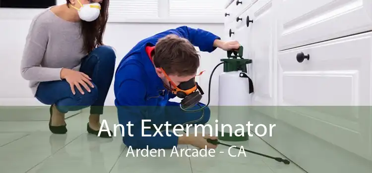 Ant Exterminator Arden Arcade - CA