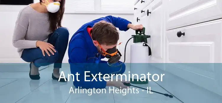 Ant Exterminator Arlington Heights - IL