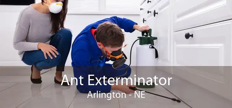 Ant Exterminator Arlington - NE