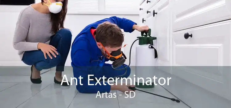 Ant Exterminator Artas - SD