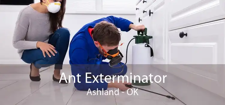 Ant Exterminator Ashland - OK