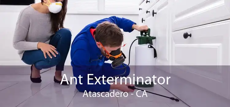 Ant Exterminator Atascadero - CA