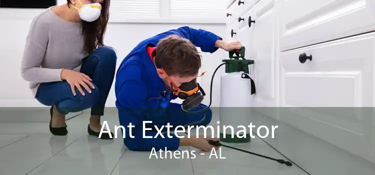 Ant Exterminator Athens - AL