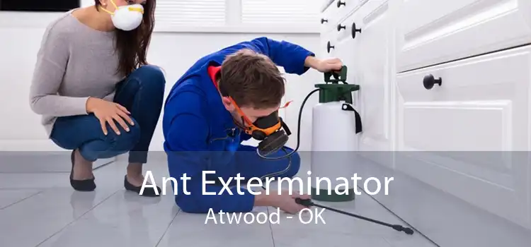 Ant Exterminator Atwood - OK