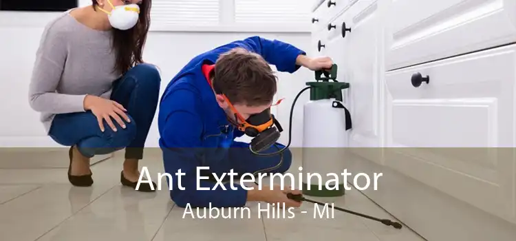 Ant Exterminator Auburn Hills - MI